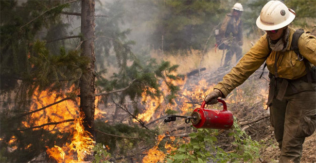 Wildfires preventions is on each of us