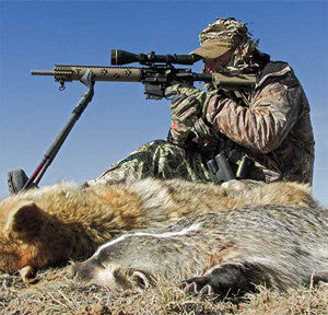 Coyote hunting, when a predator becomes the catch