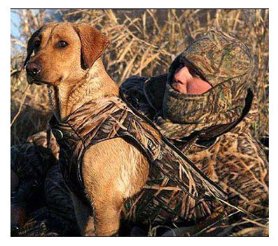 Keep your dog warm while hunting