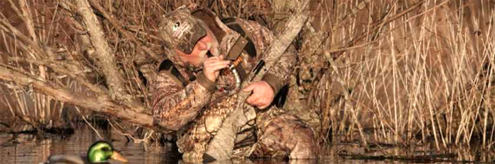 Basics about duck calls for hunting