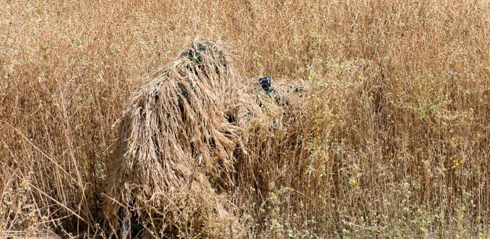 What color for my ghillie suit?