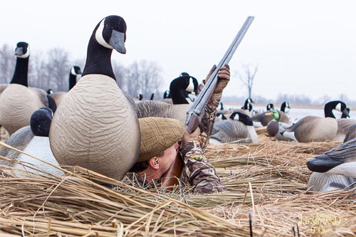 Geese Hunting Tips