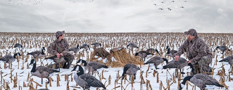 Goose hunting techniques and the art of decoy deployment