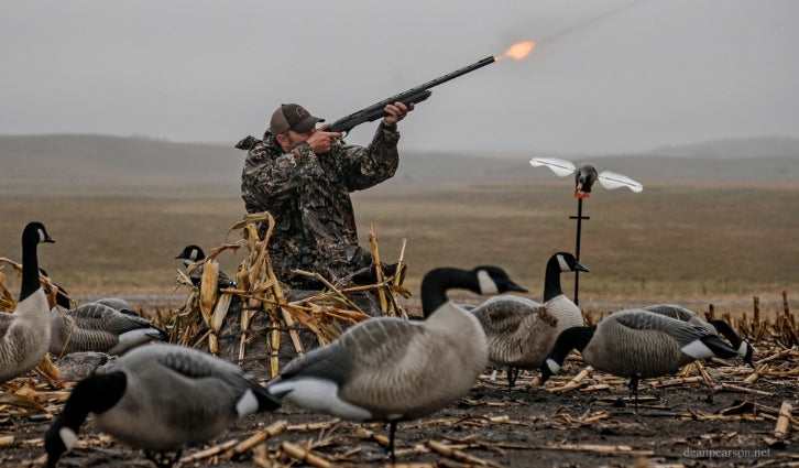 Keys to succeed on Canada Geese Hunting
