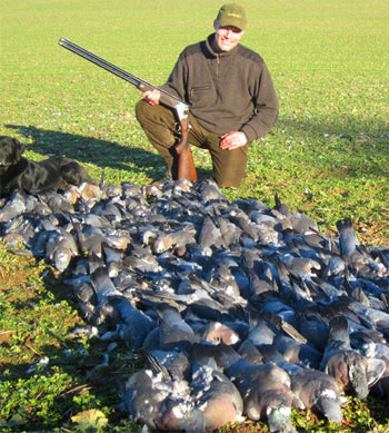 Introduction to Pigeons Hunting