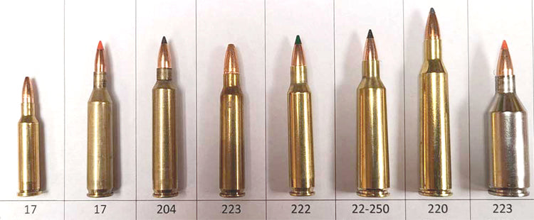 Choosing the best caliber for small game hunting