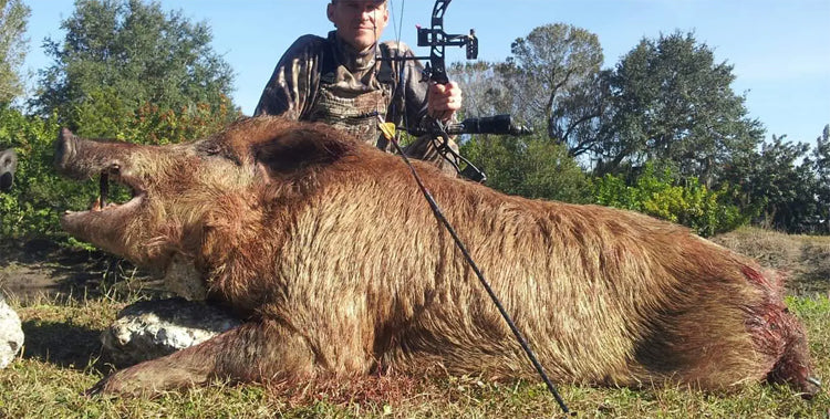 Wildboar bow hunting, the ultimate challenge