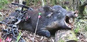 What type of arrow is used for wildboar hunting?