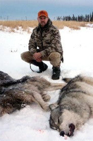 Wolves, the ultimate predators hunting. Part I