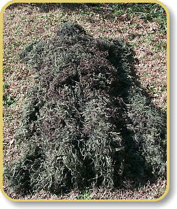 Ghillie Blanket cover 4' x 6'