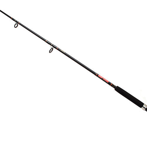 daiwa beefstick fishing rod Beefstick-BT Saltwater Boat Spinning 6'6" for Fishing