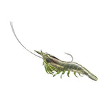 Rigged Shrimp Soft Plstc,grass shrimp,2/0 - GhillieSuitShop